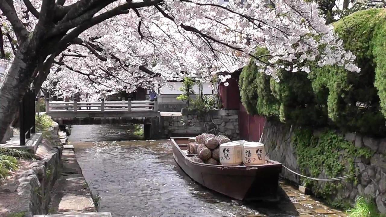Готель Kyoto Miyabi Екстер'єр фото